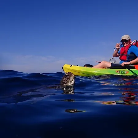 Hostel Adventure House Tenerife *