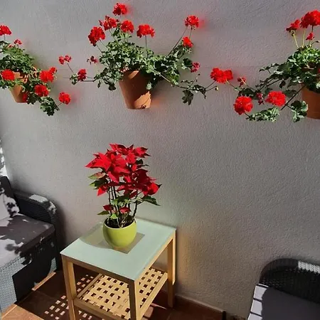 Hostel Adventure House Tenerife